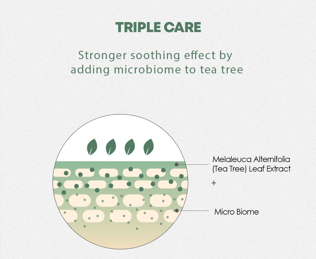 TEA TREE BIOME CALMING SLEEPING \n PACK