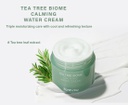 Tea Tree Biome Toner + Water Cream
